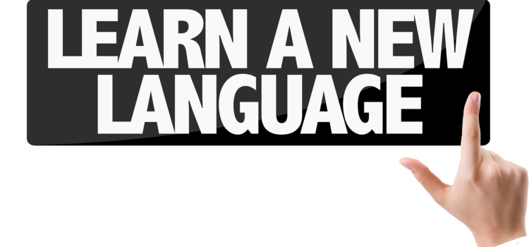 Study Portuguese in Miami